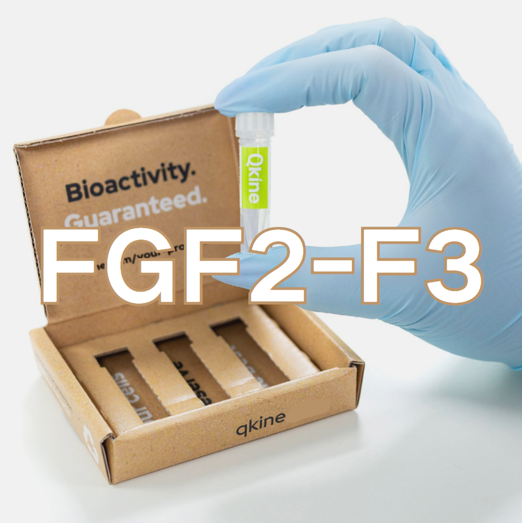 QKine FGF2-G3（二）--無需周末換液的干細胞培養熱穩定FGF-2（bFGF）