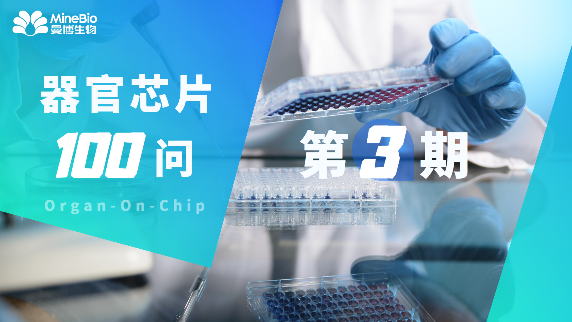 【器官芯片100問】第3期_器官芯片_微流控