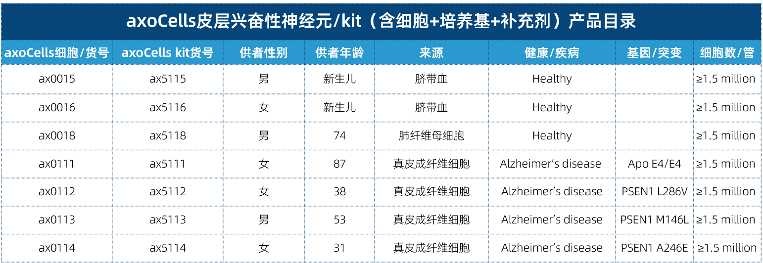 axoCells皮層興奮性神經元產品信息