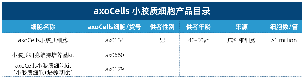axocells小膠質細胞產品目錄