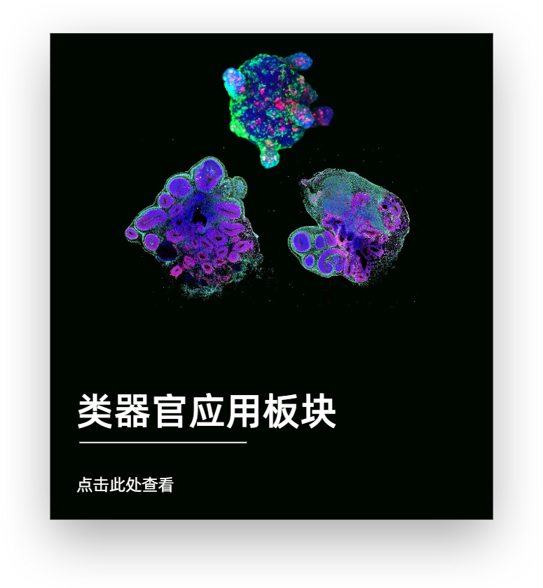 類器官應用