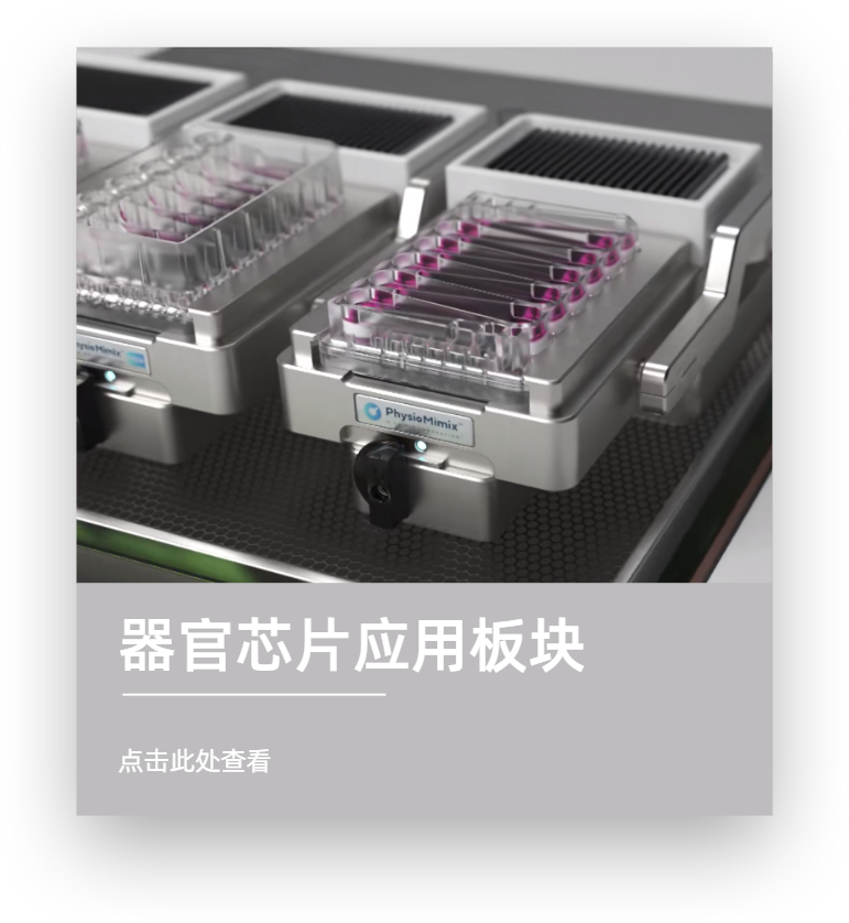 器官芯片應用