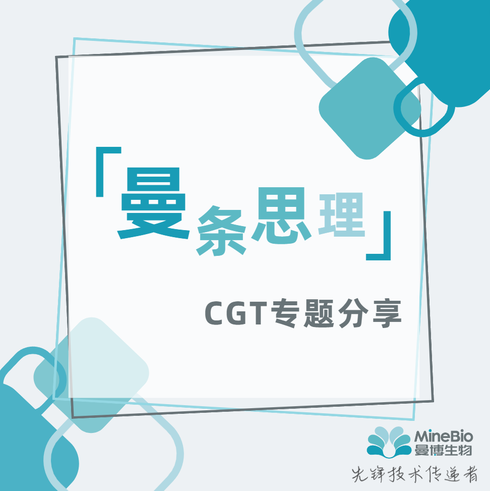 曼條思理系列
