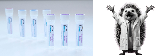 Atelerix提供無凍無憂的常溫生物樣本保存和運輸