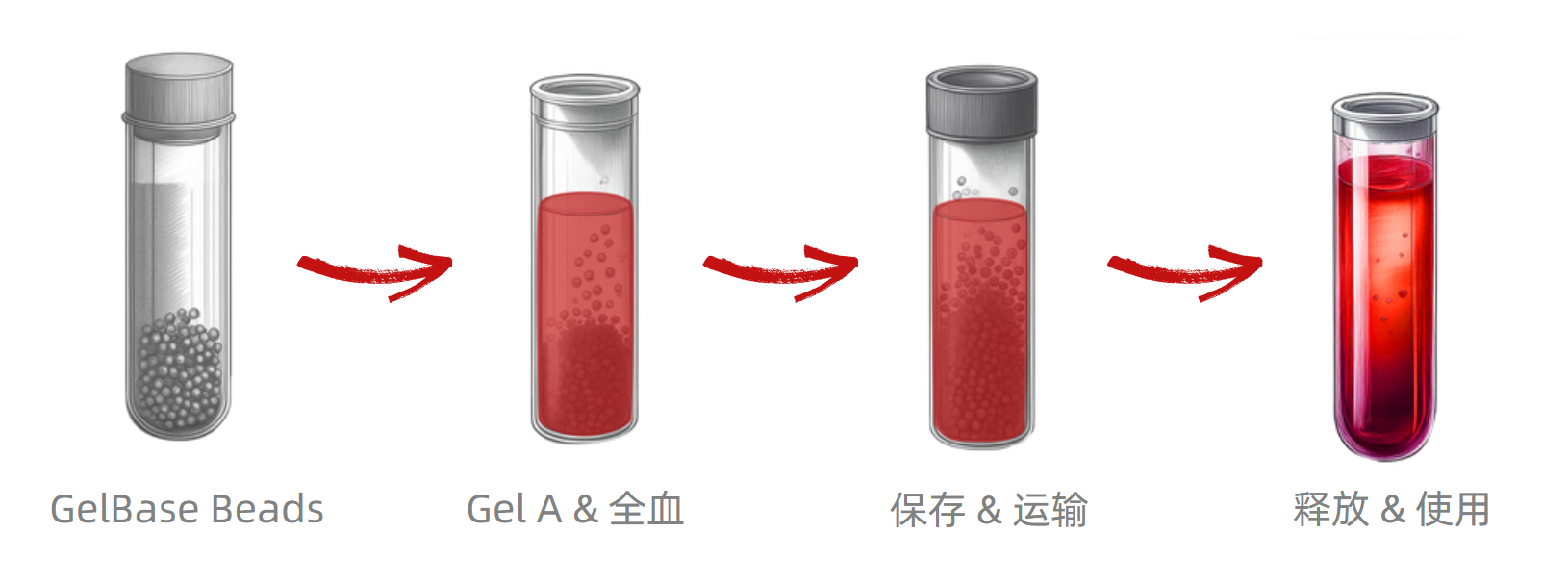 Bloodready Kit內容物