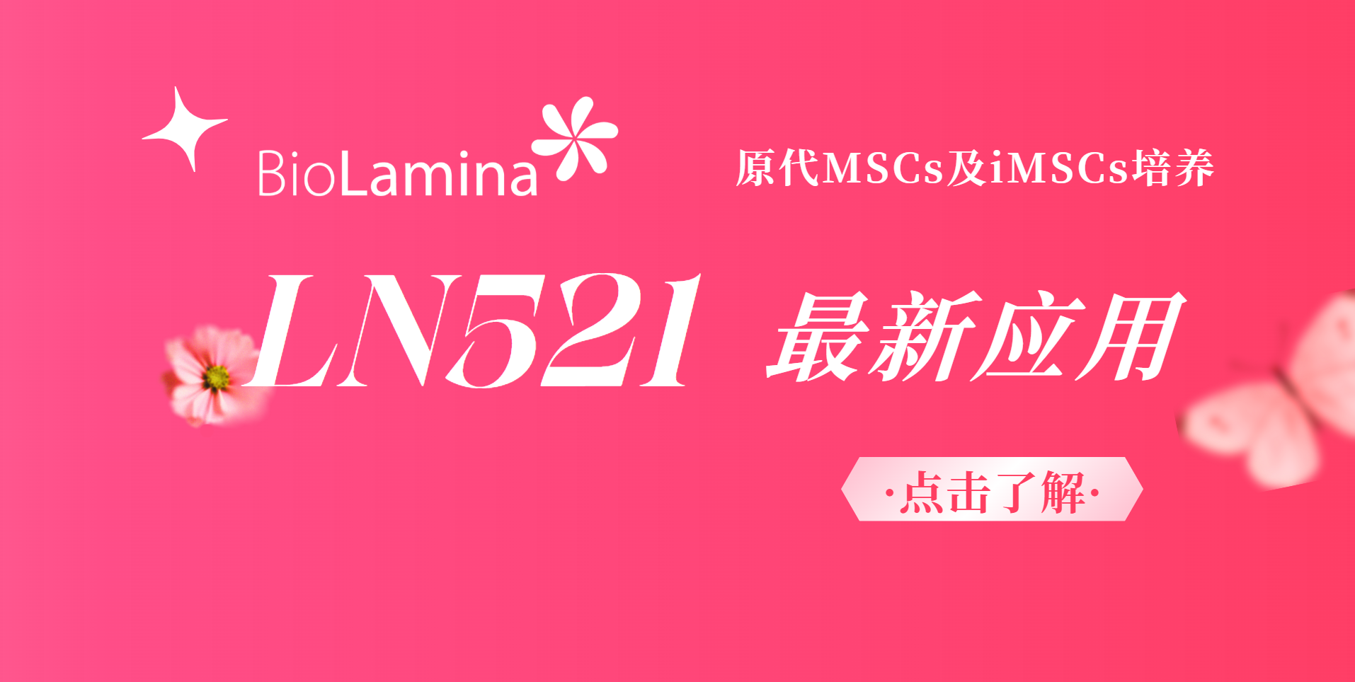 新應用 | Biolaminin 521支持MSCs培養