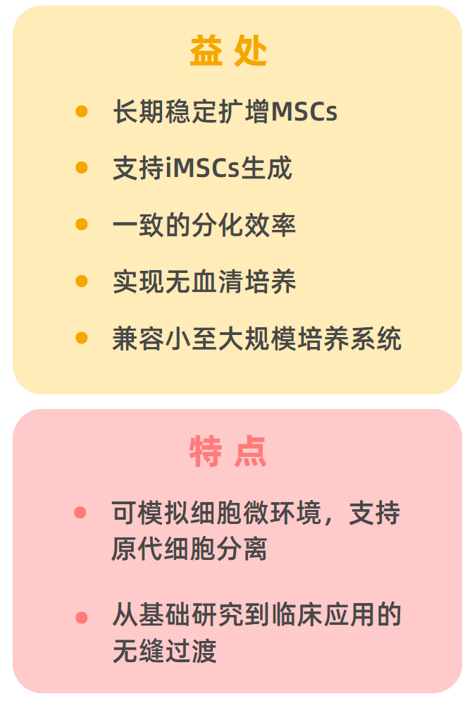 Biolaminin521培養MSCs優勢總結