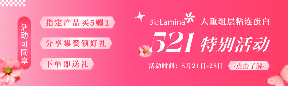 Biolaminin521活動