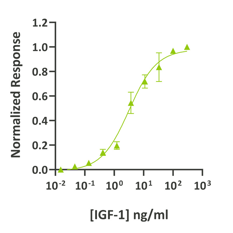 在轉染的MCF-7細胞中測定IGF-1活性