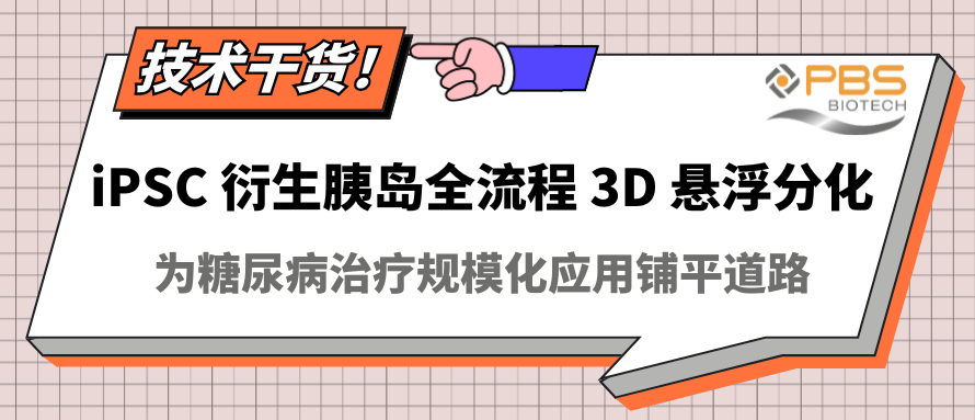 iPSC衍生胰島全流程3D懸浮分化：為糖尿病治療規模化應用鋪平道路