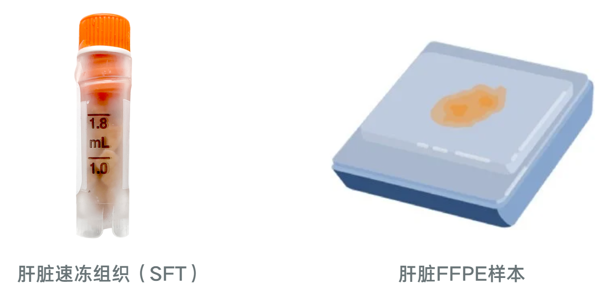 LifeNet提供健康與病變組織樣本