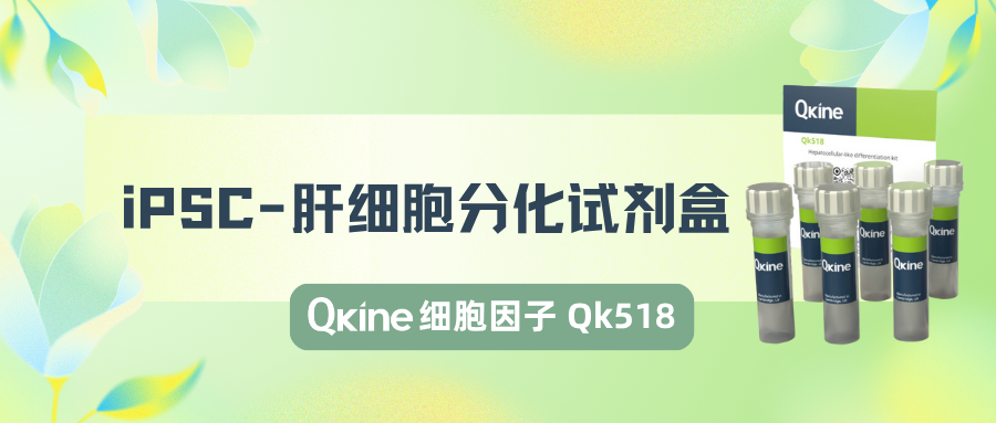 iPSC-肝細胞分化試劑盒細胞因子